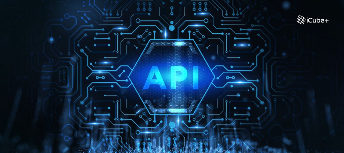 API nel mondo del software