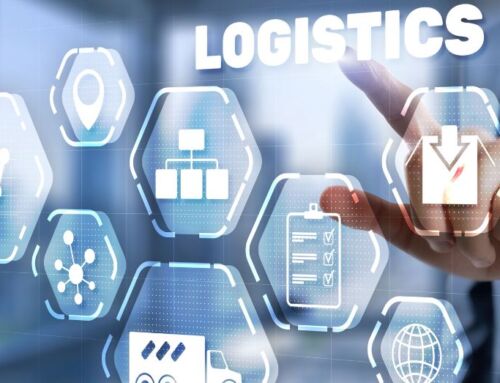 Software custom o standard